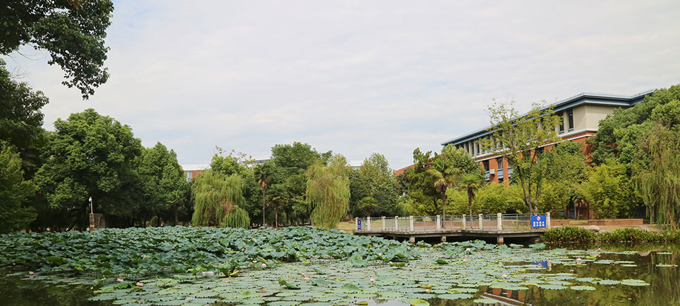 武汉科技大学城市学院——校园风光6