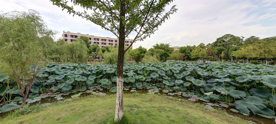 西南科技大学学校简介