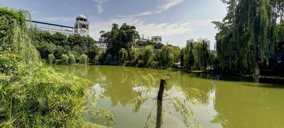 四川大学锦城学院——小湖