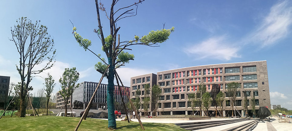 四川卫生康复职业学院