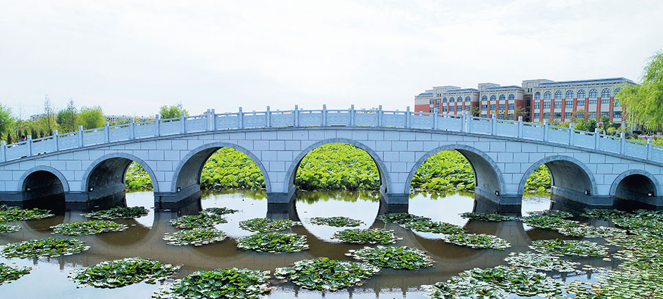 高校列表 辽宁师范大学海华学院 辽宁师范大学海华学