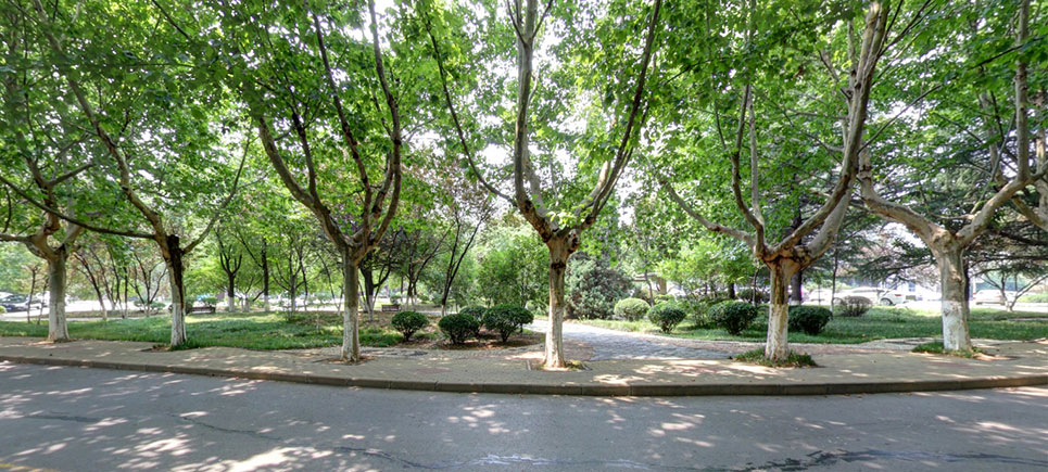 江苏师范大学科文学院-校园风光