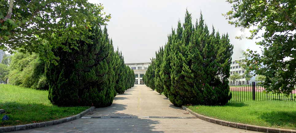 南通大学杏林学院